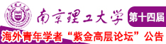 性感老太太啊啊啊啊南京理工大学第十四届海外青年学者紫金论坛诚邀海内外英才！